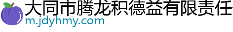 大同市腾龙积德益有限责任公司